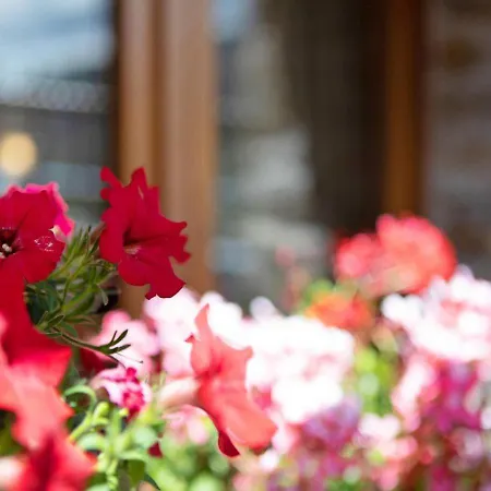 דירה Maison Godioz - 4